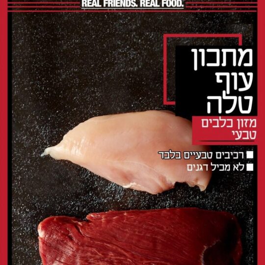 עמוד הבית 12 Main image