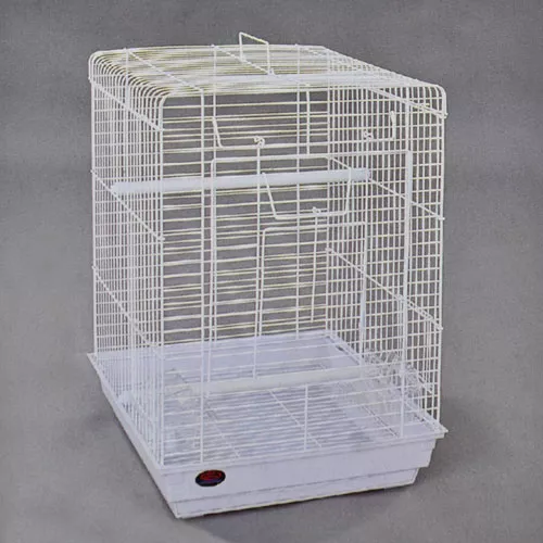 כלוב פרקיטים/קוקטל מרובע-1901