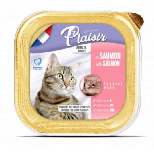 עמוד הבית 15 Main image