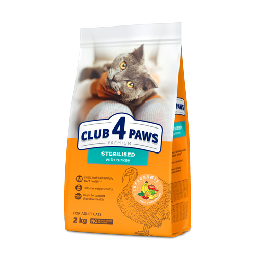 Club 4 Paws קלאב חתולים מסורס