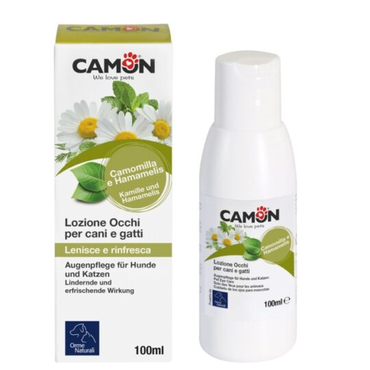 עמוד הבית 18 Main image