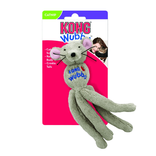 עמוד הבית 16 Main image