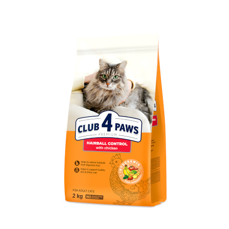 Club 4 Paws קלאב חתולים היירבול