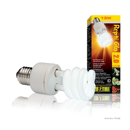 אקזוטרה מנורה קומפקט 13 w 13W