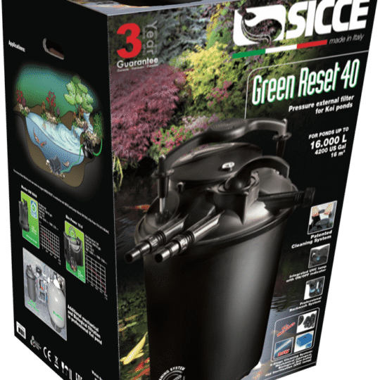 עמוד הבית 20 Main image