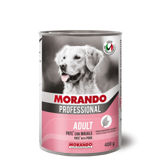 עמוד הבית 14 Main image