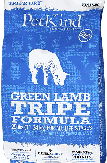 עמוד הבית 11 Main image