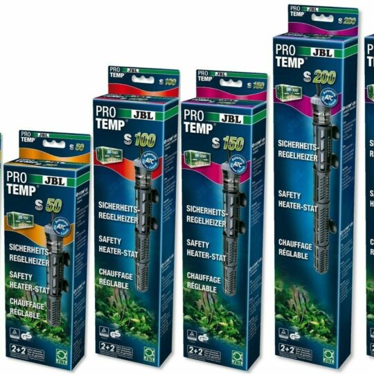 עמוד הבית 21 Main image