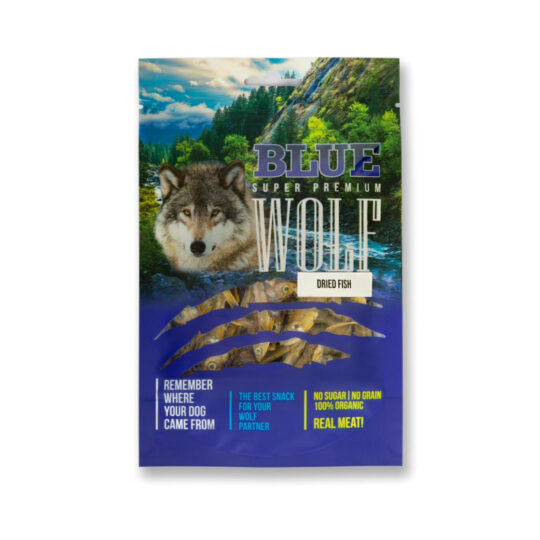 עמוד הבית 1 Main image