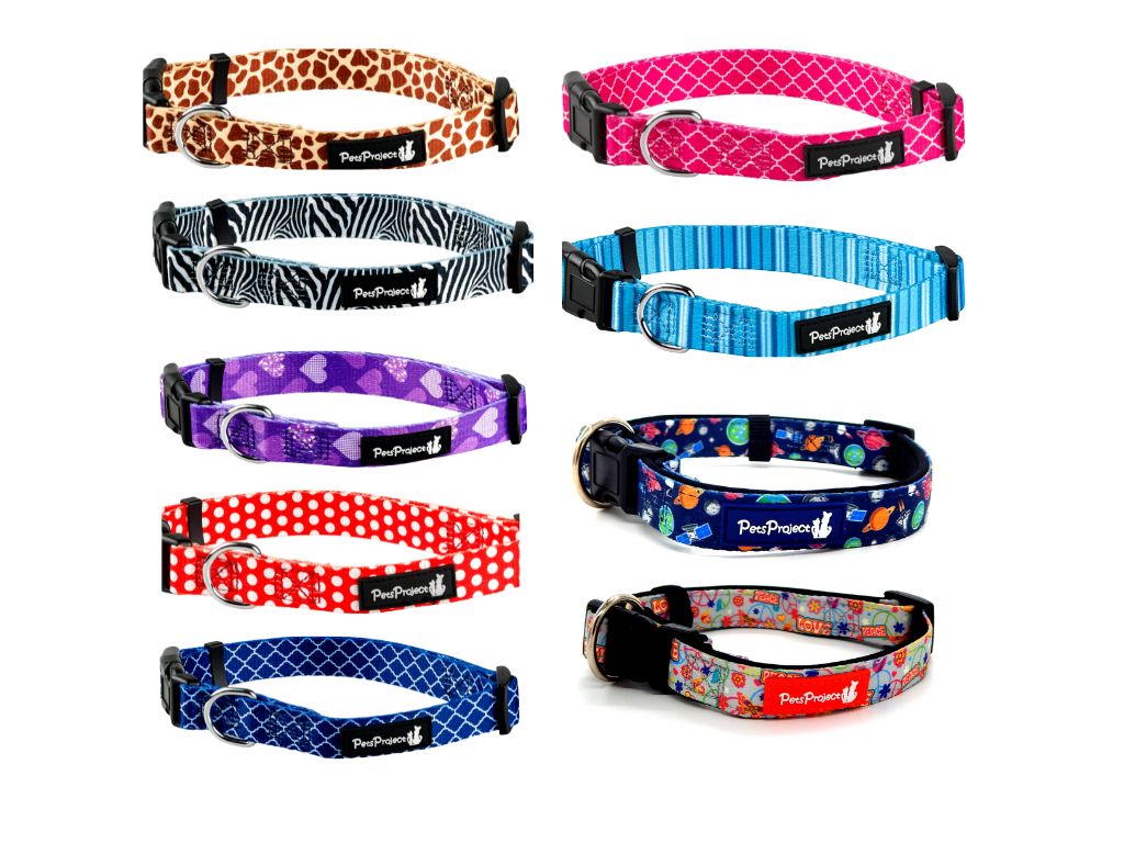 קולר בד צבעוני מידה XS 1 יחידה