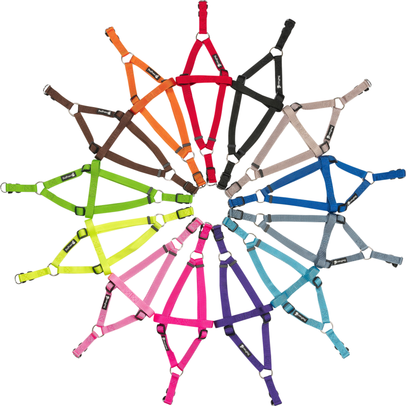 רתמה בייסיק צבעונית