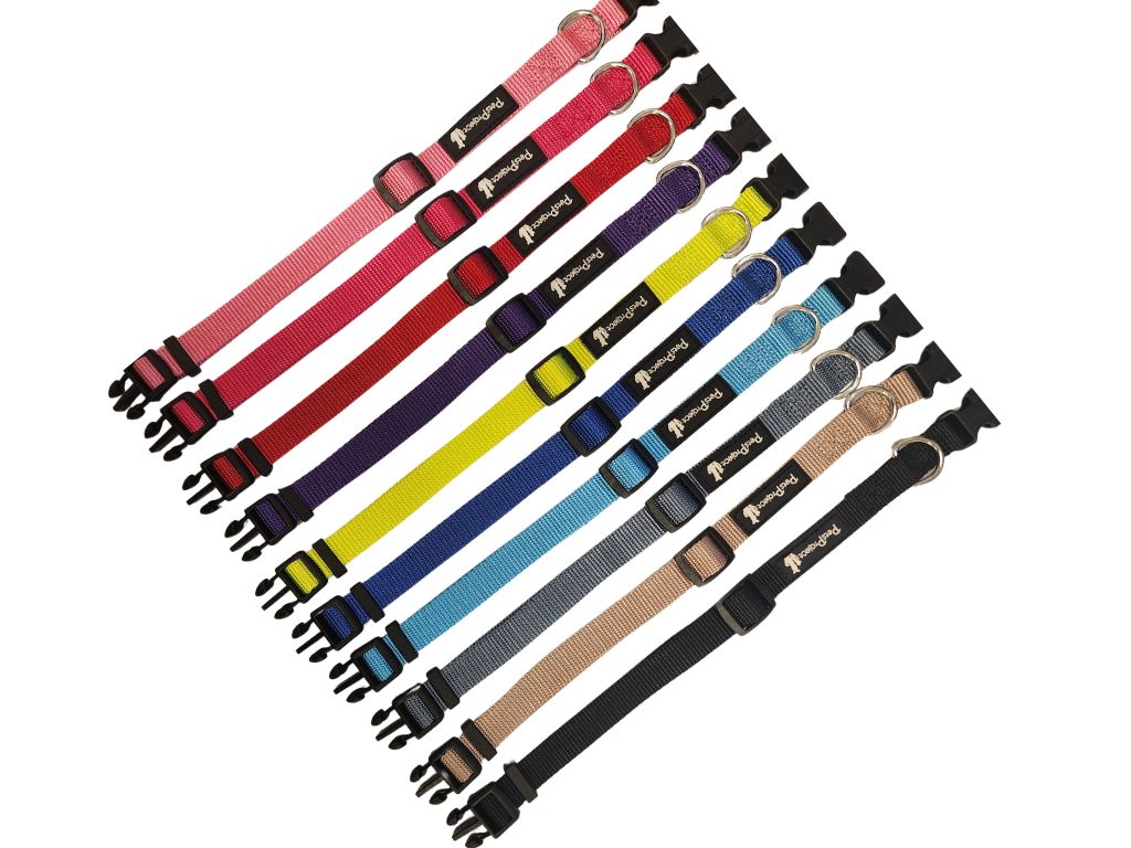 קולר בייסיק מידה 10 מ"מ XS 1 יחידה